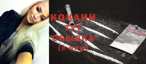 крисы Магас