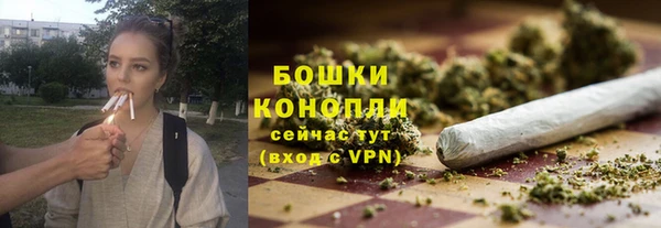 крисы Магас