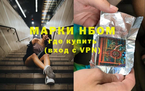 крисы Магас