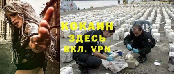 крисы Магас