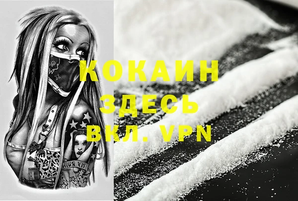 крисы Магас