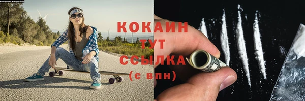крисы Магас