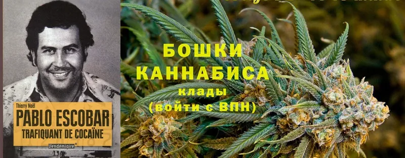 Каннабис индика  Дрезна 